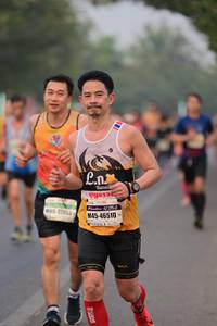 BIB: 273, 46510
                            <button type="button" onclick="openModal(10102698)" class="btn btn-primary btn-sm float-right btn-popup" data-toggle="modal" data-target=".modal-high-quality">
                        <i class="fas fa-shopping-cart"></i> Add to Cart
                    </button>
                                            <button type="button" onclick="isThisMe(10102698, true)" class="btn btn-success btn-sm float-right btn-popup btn-isme hidden" data-toggle="tooltip" data-placement="bottom" title="นี่คือรูปของคุณใช่ไหม คลิกที่นี่เพื่อเอาเข้าอัลบั้ม">
                        <i class="fas fa-plus"></i> Add to album
                    </button>
                    <button type="button" onclick="isThisMe(10102698, false)" class="btn btn-warning btn-sm float-right btn-popup btn-isnotme hidden">
                        <i class="fas fa-ban"></i> Remove from album
                    </button>