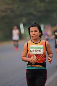 BIB: 25033
                            <button type="button" onclick="openModal(10101384)" class="btn btn-primary btn-sm float-right btn-popup" data-toggle="modal" data-target=".modal-high-quality">
                        <i class="fas fa-shopping-cart"></i> Add to Cart
                    </button>
                                            <button type="button" onclick="isThisMe(10101384, true)" class="btn btn-success btn-sm float-right btn-popup btn-isme hidden" data-toggle="tooltip" data-placement="bottom" title="นี่คือรูปของคุณใช่ไหม คลิกที่นี่เพื่อเอาเข้าอัลบั้ม">
                        <i class="fas fa-plus"></i> Add to album
                    </button>
                    <button type="button" onclick="isThisMe(10101384, false)" class="btn btn-warning btn-sm float-right btn-popup btn-isnotme hidden">
                        <i class="fas fa-ban"></i> Remove from album
                    </button>