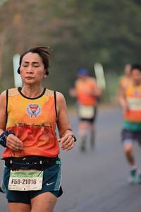 BIB: 21016
                            <button type="button" onclick="openModal(10101273)" class="btn btn-primary btn-sm float-right btn-popup" data-toggle="modal" data-target=".modal-high-quality">
                        <i class="fas fa-shopping-cart"></i> Add to Cart
                    </button>
                                            <button type="button" onclick="isThisMe(10101273, true)" class="btn btn-success btn-sm float-right btn-popup btn-isme hidden" data-toggle="tooltip" data-placement="bottom" title="นี่คือรูปของคุณใช่ไหม คลิกที่นี่เพื่อเอาเข้าอัลบั้ม">
                        <i class="fas fa-plus"></i> Add to album
                    </button>
                    <button type="button" onclick="isThisMe(10101273, false)" class="btn btn-warning btn-sm float-right btn-popup btn-isnotme hidden">
                        <i class="fas fa-ban"></i> Remove from album
                    </button>