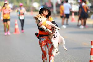 BIB: 
                            <button type="button" onclick="openModal(7573362)" class="btn btn-primary btn-sm float-right btn-popup" data-toggle="modal" data-target=".modal-high-quality">
                        <i class="fas fa-shopping-cart"></i> Add to Cart
                    </button>
                                            <button type="button" onclick="isThisMe(7573362, true)" class="btn btn-success btn-sm float-right btn-popup btn-isme hidden" data-toggle="tooltip" data-placement="bottom" title="นี่คือรูปของคุณใช่ไหม คลิกที่นี่เพื่อเอาเข้าอัลบั้ม">
                        <i class="fas fa-plus"></i> Add to album
                    </button>
                    <button type="button" onclick="isThisMe(7573362, false)" class="btn btn-warning btn-sm float-right btn-popup btn-isnotme hidden">
                        <i class="fas fa-ban"></i> Remove from album
                    </button>