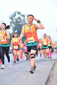 BIB: 106, 15933
                            <button type="button" onclick="openModal(10234263)" class="btn btn-primary btn-sm float-right btn-popup" data-toggle="modal" data-target=".modal-high-quality">
                        <i class="fas fa-shopping-cart"></i> Add to Cart
                    </button>
                                            <button type="button" onclick="isThisMe(10234263, true)" class="btn btn-success btn-sm float-right btn-popup btn-isme hidden" data-toggle="tooltip" data-placement="bottom" title="นี่คือรูปของคุณใช่ไหม คลิกที่นี่เพื่อเอาเข้าอัลบั้ม">
                        <i class="fas fa-plus"></i> Add to album
                    </button>
                    <button type="button" onclick="isThisMe(10234263, false)" class="btn btn-warning btn-sm float-right btn-popup btn-isnotme hidden">
                        <i class="fas fa-ban"></i> Remove from album
                    </button>