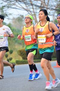BIB: 5586, 21952, 16770
                            <button type="button" onclick="openModal(10367479)" class="btn btn-primary btn-sm float-right btn-popup" data-toggle="modal" data-target=".modal-high-quality">
                        <i class="fas fa-shopping-cart"></i> Add to Cart
                    </button>
                                            <button type="button" onclick="isThisMe(10367479, true)" class="btn btn-success btn-sm float-right btn-popup btn-isme hidden" data-toggle="tooltip" data-placement="bottom" title="นี่คือรูปของคุณใช่ไหม คลิกที่นี่เพื่อเอาเข้าอัลบั้ม">
                        <i class="fas fa-plus"></i> Add to album
                    </button>
                    <button type="button" onclick="isThisMe(10367479, false)" class="btn btn-warning btn-sm float-right btn-popup btn-isnotme hidden">
                        <i class="fas fa-ban"></i> Remove from album
                    </button>