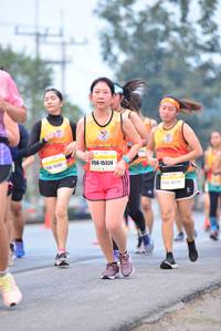 BIB: 15324, 125
                            <button type="button" onclick="openModal(10240131)" class="btn btn-primary btn-sm float-right btn-popup" data-toggle="modal" data-target=".modal-high-quality">
                        <i class="fas fa-shopping-cart"></i> Add to Cart
                    </button>
                                            <button type="button" onclick="isThisMe(10240131, true)" class="btn btn-success btn-sm float-right btn-popup btn-isme hidden" data-toggle="tooltip" data-placement="bottom" title="นี่คือรูปของคุณใช่ไหม คลิกที่นี่เพื่อเอาเข้าอัลบั้ม">
                        <i class="fas fa-plus"></i> Add to album
                    </button>
                    <button type="button" onclick="isThisMe(10240131, false)" class="btn btn-warning btn-sm float-right btn-popup btn-isnotme hidden">
                        <i class="fas fa-ban"></i> Remove from album
                    </button>