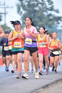 BIB: 10428, 15732
                            <button type="button" onclick="openModal(10240102)" class="btn btn-primary btn-sm float-right btn-popup" data-toggle="modal" data-target=".modal-high-quality">
                        <i class="fas fa-shopping-cart"></i> Add to Cart
                    </button>
                                            <button type="button" onclick="isThisMe(10240102, true)" class="btn btn-success btn-sm float-right btn-popup btn-isme hidden" data-toggle="tooltip" data-placement="bottom" title="นี่คือรูปของคุณใช่ไหม คลิกที่นี่เพื่อเอาเข้าอัลบั้ม">
                        <i class="fas fa-plus"></i> Add to album
                    </button>
                    <button type="button" onclick="isThisMe(10240102, false)" class="btn btn-warning btn-sm float-right btn-popup btn-isnotme hidden">
                        <i class="fas fa-ban"></i> Remove from album
                    </button>