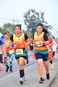 BIB: 16884, 16140
                            <button type="button" onclick="openModal(10367009)" class="btn btn-primary btn-sm float-right btn-popup" data-toggle="modal" data-target=".modal-high-quality">
                        <i class="fas fa-shopping-cart"></i> Add to Cart
                    </button>
                                            <button type="button" onclick="isThisMe(10367009, true)" class="btn btn-success btn-sm float-right btn-popup btn-isme hidden" data-toggle="tooltip" data-placement="bottom" title="นี่คือรูปของคุณใช่ไหม คลิกที่นี่เพื่อเอาเข้าอัลบั้ม">
                        <i class="fas fa-plus"></i> Add to album
                    </button>
                    <button type="button" onclick="isThisMe(10367009, false)" class="btn btn-warning btn-sm float-right btn-popup btn-isnotme hidden">
                        <i class="fas fa-ban"></i> Remove from album
                    </button>