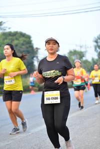 BIB: 834, 17486
                            <button type="button" onclick="openModal(10367274)" class="btn btn-primary btn-sm float-right btn-popup" data-toggle="modal" data-target=".modal-high-quality">
                        <i class="fas fa-shopping-cart"></i> Add to Cart
                    </button>
                                            <button type="button" onclick="isThisMe(10367274, true)" class="btn btn-success btn-sm float-right btn-popup btn-isme hidden" data-toggle="tooltip" data-placement="bottom" title="นี่คือรูปของคุณใช่ไหม คลิกที่นี่เพื่อเอาเข้าอัลบั้ม">
                        <i class="fas fa-plus"></i> Add to album
                    </button>
                    <button type="button" onclick="isThisMe(10367274, false)" class="btn btn-warning btn-sm float-right btn-popup btn-isnotme hidden">
                        <i class="fas fa-ban"></i> Remove from album
                    </button>