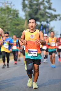 BIB: 42299
                            <button type="button" onclick="openModal(10095873)" class="btn btn-primary btn-sm float-right btn-popup" data-toggle="modal" data-target=".modal-high-quality">
                        <i class="fas fa-shopping-cart"></i> Add to Cart
                    </button>
                                            <button type="button" onclick="isThisMe(10095873, true)" class="btn btn-success btn-sm float-right btn-popup btn-isme hidden" data-toggle="tooltip" data-placement="bottom" title="นี่คือรูปของคุณใช่ไหม คลิกที่นี่เพื่อเอาเข้าอัลบั้ม">
                        <i class="fas fa-plus"></i> Add to album
                    </button>
                    <button type="button" onclick="isThisMe(10095873, false)" class="btn btn-warning btn-sm float-right btn-popup btn-isnotme hidden">
                        <i class="fas fa-ban"></i> Remove from album
                    </button>