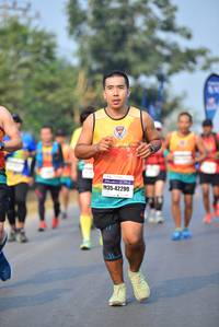 BIB: 42299
                            <button type="button" onclick="openModal(10095492)" class="btn btn-primary btn-sm float-right btn-popup" data-toggle="modal" data-target=".modal-high-quality">
                        <i class="fas fa-shopping-cart"></i> Add to Cart
                    </button>
                                            <button type="button" onclick="isThisMe(10095492, true)" class="btn btn-success btn-sm float-right btn-popup btn-isme hidden" data-toggle="tooltip" data-placement="bottom" title="นี่คือรูปของคุณใช่ไหม คลิกที่นี่เพื่อเอาเข้าอัลบั้ม">
                        <i class="fas fa-plus"></i> Add to album
                    </button>
                    <button type="button" onclick="isThisMe(10095492, false)" class="btn btn-warning btn-sm float-right btn-popup btn-isnotme hidden">
                        <i class="fas fa-ban"></i> Remove from album
                    </button>