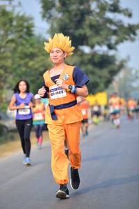 BIB: 46478
                            <button type="button" onclick="openModal(10123040)" class="btn btn-primary btn-sm float-right btn-popup" data-toggle="modal" data-target=".modal-high-quality">
                        <i class="fas fa-shopping-cart"></i> Add to Cart
                    </button>
                                            <button type="button" onclick="isThisMe(10123040, true)" class="btn btn-success btn-sm float-right btn-popup btn-isme hidden" data-toggle="tooltip" data-placement="bottom" title="นี่คือรูปของคุณใช่ไหม คลิกที่นี่เพื่อเอาเข้าอัลบั้ม">
                        <i class="fas fa-plus"></i> Add to album
                    </button>
                    <button type="button" onclick="isThisMe(10123040, false)" class="btn btn-warning btn-sm float-right btn-popup btn-isnotme hidden">
                        <i class="fas fa-ban"></i> Remove from album
                    </button>