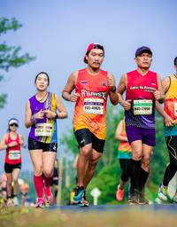BIB: 27056, 40675, 264
                            <button type="button" onclick="openModal(10330814)" class="btn btn-primary btn-sm float-right btn-popup" data-toggle="modal" data-target=".modal-high-quality">
                        <i class="fas fa-shopping-cart"></i> Add to Cart
                    </button>
                                            <button type="button" onclick="isThisMe(10330814, true)" class="btn btn-success btn-sm float-right btn-popup btn-isme hidden" data-toggle="tooltip" data-placement="bottom" title="นี่คือรูปของคุณใช่ไหม คลิกที่นี่เพื่อเอาเข้าอัลบั้ม">
                        <i class="fas fa-plus"></i> Add to album
                    </button>
                    <button type="button" onclick="isThisMe(10330814, false)" class="btn btn-warning btn-sm float-right btn-popup btn-isnotme hidden">
                        <i class="fas fa-ban"></i> Remove from album
                    </button>