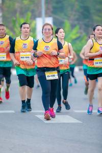 BIB: 11845, 287, 167, 11762
                            <button type="button" onclick="openModal(9671002)" class="btn btn-primary btn-sm float-right btn-popup" data-toggle="modal" data-target=".modal-high-quality">
                        <i class="fas fa-shopping-cart"></i> Add to Cart
                    </button>
                                            <button type="button" onclick="isThisMe(9671002, true)" class="btn btn-success btn-sm float-right btn-popup btn-isme hidden" data-toggle="tooltip" data-placement="bottom" title="นี่คือรูปของคุณใช่ไหม คลิกที่นี่เพื่อเอาเข้าอัลบั้ม">
                        <i class="fas fa-plus"></i> Add to album
                    </button>
                    <button type="button" onclick="isThisMe(9671002, false)" class="btn btn-warning btn-sm float-right btn-popup btn-isnotme hidden">
                        <i class="fas fa-ban"></i> Remove from album
                    </button>
