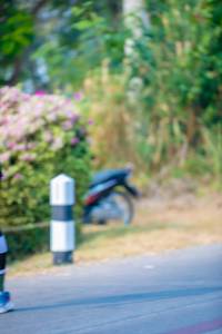 BIB: 
                            <button type="button" onclick="openModal(9337840)" class="btn btn-primary btn-sm float-right btn-popup" data-toggle="modal" data-target=".modal-high-quality">
                        <i class="fas fa-shopping-cart"></i> Add to Cart
                    </button>
                                            <button type="button" onclick="isThisMe(9337840, true)" class="btn btn-success btn-sm float-right btn-popup btn-isme hidden" data-toggle="tooltip" data-placement="bottom" title="นี่คือรูปของคุณใช่ไหม คลิกที่นี่เพื่อเอาเข้าอัลบั้ม">
                        <i class="fas fa-plus"></i> Add to album
                    </button>
                    <button type="button" onclick="isThisMe(9337840, false)" class="btn btn-warning btn-sm float-right btn-popup btn-isnotme hidden">
                        <i class="fas fa-ban"></i> Remove from album
                    </button>