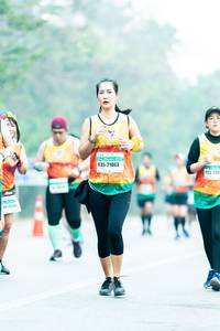 BIB: 21063, 135, 208
                            <button type="button" onclick="openModal(10372979)" class="btn btn-primary btn-sm float-right btn-popup" data-toggle="modal" data-target=".modal-high-quality">
                        <i class="fas fa-shopping-cart"></i> Add to Cart
                    </button>
                                            <button type="button" onclick="isThisMe(10372979, true)" class="btn btn-success btn-sm float-right btn-popup btn-isme hidden" data-toggle="tooltip" data-placement="bottom" title="นี่คือรูปของคุณใช่ไหม คลิกที่นี่เพื่อเอาเข้าอัลบั้ม">
                        <i class="fas fa-plus"></i> Add to album
                    </button>
                    <button type="button" onclick="isThisMe(10372979, false)" class="btn btn-warning btn-sm float-right btn-popup btn-isnotme hidden">
                        <i class="fas fa-ban"></i> Remove from album
                    </button>