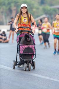 BIB: 
                            <button type="button" onclick="openModal(9299807)" class="btn btn-primary btn-sm float-right btn-popup" data-toggle="modal" data-target=".modal-high-quality">
                        <i class="fas fa-shopping-cart"></i> Add to Cart
                    </button>
                                            <button type="button" onclick="isThisMe(9299807, true)" class="btn btn-success btn-sm float-right btn-popup btn-isme hidden" data-toggle="tooltip" data-placement="bottom" title="นี่คือรูปของคุณใช่ไหม คลิกที่นี่เพื่อเอาเข้าอัลบั้ม">
                        <i class="fas fa-plus"></i> Add to album
                    </button>
                    <button type="button" onclick="isThisMe(9299807, false)" class="btn btn-warning btn-sm float-right btn-popup btn-isnotme hidden">
                        <i class="fas fa-ban"></i> Remove from album
                    </button>