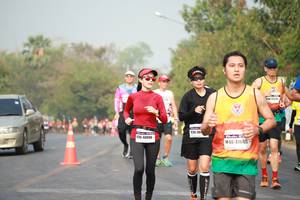 BIB: 40090, 41665
                            <button type="button" onclick="openModal(9575311)" class="btn btn-primary btn-sm float-right btn-popup" data-toggle="modal" data-target=".modal-high-quality">
                        <i class="fas fa-shopping-cart"></i> Add to Cart
                    </button>
                                            <button type="button" onclick="isThisMe(9575311, true)" class="btn btn-success btn-sm float-right btn-popup btn-isme hidden" data-toggle="tooltip" data-placement="bottom" title="นี่คือรูปของคุณใช่ไหม คลิกที่นี่เพื่อเอาเข้าอัลบั้ม">
                        <i class="fas fa-plus"></i> Add to album
                    </button>
                    <button type="button" onclick="isThisMe(9575311, false)" class="btn btn-warning btn-sm float-right btn-popup btn-isnotme hidden">
                        <i class="fas fa-ban"></i> Remove from album
                    </button>