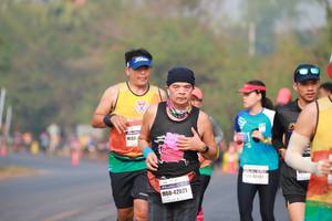 BIB: 125, 45542, 42021
                            <button type="button" onclick="openModal(9569215)" class="btn btn-primary btn-sm float-right btn-popup" data-toggle="modal" data-target=".modal-high-quality">
                        <i class="fas fa-shopping-cart"></i> Add to Cart
                    </button>
                                            <button type="button" onclick="isThisMe(9569215, true)" class="btn btn-success btn-sm float-right btn-popup btn-isme hidden" data-toggle="tooltip" data-placement="bottom" title="นี่คือรูปของคุณใช่ไหม คลิกที่นี่เพื่อเอาเข้าอัลบั้ม">
                        <i class="fas fa-plus"></i> Add to album
                    </button>
                    <button type="button" onclick="isThisMe(9569215, false)" class="btn btn-warning btn-sm float-right btn-popup btn-isnotme hidden">
                        <i class="fas fa-ban"></i> Remove from album
                    </button>