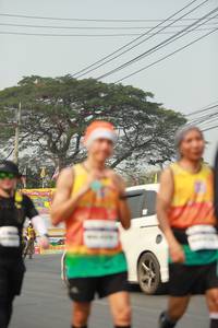 BIB: 
                            <button type="button" onclick="openModal(9558301)" class="btn btn-primary btn-sm float-right btn-popup" data-toggle="modal" data-target=".modal-high-quality">
                        <i class="fas fa-shopping-cart"></i> Add to Cart
                    </button>
                                            <button type="button" onclick="isThisMe(9558301, true)" class="btn btn-success btn-sm float-right btn-popup btn-isme hidden" data-toggle="tooltip" data-placement="bottom" title="นี่คือรูปของคุณใช่ไหม คลิกที่นี่เพื่อเอาเข้าอัลบั้ม">
                        <i class="fas fa-plus"></i> Add to album
                    </button>
                    <button type="button" onclick="isThisMe(9558301, false)" class="btn btn-warning btn-sm float-right btn-popup btn-isnotme hidden">
                        <i class="fas fa-ban"></i> Remove from album
                    </button>