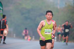 BIB: 27529
                            <button type="button" onclick="openModal(9542901)" class="btn btn-primary btn-sm float-right btn-popup" data-toggle="modal" data-target=".modal-high-quality">
                        <i class="fas fa-shopping-cart"></i> Add to Cart
                    </button>
                                            <button type="button" onclick="isThisMe(9542901, true)" class="btn btn-success btn-sm float-right btn-popup btn-isme hidden" data-toggle="tooltip" data-placement="bottom" title="นี่คือรูปของคุณใช่ไหม คลิกที่นี่เพื่อเอาเข้าอัลบั้ม">
                        <i class="fas fa-plus"></i> Add to album
                    </button>
                    <button type="button" onclick="isThisMe(9542901, false)" class="btn btn-warning btn-sm float-right btn-popup btn-isnotme hidden">
                        <i class="fas fa-ban"></i> Remove from album
                    </button>