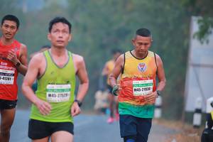 BIB: 41281, 21930, 7529
                            <button type="button" onclick="openModal(9542907)" class="btn btn-primary btn-sm float-right btn-popup" data-toggle="modal" data-target=".modal-high-quality">
                        <i class="fas fa-shopping-cart"></i> Add to Cart
                    </button>
                                            <button type="button" onclick="isThisMe(9542907, true)" class="btn btn-success btn-sm float-right btn-popup btn-isme hidden" data-toggle="tooltip" data-placement="bottom" title="นี่คือรูปของคุณใช่ไหม คลิกที่นี่เพื่อเอาเข้าอัลบั้ม">
                        <i class="fas fa-plus"></i> Add to album
                    </button>
                    <button type="button" onclick="isThisMe(9542907, false)" class="btn btn-warning btn-sm float-right btn-popup btn-isnotme hidden">
                        <i class="fas fa-ban"></i> Remove from album
                    </button>