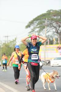 BIB: 46061
                            <button type="button" onclick="openModal(9557812)" class="btn btn-primary btn-sm float-right btn-popup" data-toggle="modal" data-target=".modal-high-quality">
                        <i class="fas fa-shopping-cart"></i> Add to Cart
                    </button>
                                            <button type="button" onclick="isThisMe(9557812, true)" class="btn btn-success btn-sm float-right btn-popup btn-isme hidden" data-toggle="tooltip" data-placement="bottom" title="นี่คือรูปของคุณใช่ไหม คลิกที่นี่เพื่อเอาเข้าอัลบั้ม">
                        <i class="fas fa-plus"></i> Add to album
                    </button>
                    <button type="button" onclick="isThisMe(9557812, false)" class="btn btn-warning btn-sm float-right btn-popup btn-isnotme hidden">
                        <i class="fas fa-ban"></i> Remove from album
                    </button>