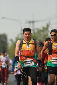 BIB: 47226
                            <button type="button" onclick="openModal(9562250)" class="btn btn-primary btn-sm float-right btn-popup" data-toggle="modal" data-target=".modal-high-quality">
                        <i class="fas fa-shopping-cart"></i> Add to Cart
                    </button>
                                            <button type="button" onclick="isThisMe(9562250, true)" class="btn btn-success btn-sm float-right btn-popup btn-isme hidden" data-toggle="tooltip" data-placement="bottom" title="นี่คือรูปของคุณใช่ไหม คลิกที่นี่เพื่อเอาเข้าอัลบั้ม">
                        <i class="fas fa-plus"></i> Add to album
                    </button>
                    <button type="button" onclick="isThisMe(9562250, false)" class="btn btn-warning btn-sm float-right btn-popup btn-isnotme hidden">
                        <i class="fas fa-ban"></i> Remove from album
                    </button>