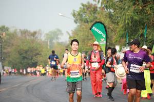 BIB: 42803, 
                            <button type="button" onclick="openModal(9574795)" class="btn btn-primary btn-sm float-right btn-popup" data-toggle="modal" data-target=".modal-high-quality">
                        <i class="fas fa-shopping-cart"></i> Add to Cart
                    </button>
                                            <button type="button" onclick="isThisMe(9574795, true)" class="btn btn-success btn-sm float-right btn-popup btn-isme hidden" data-toggle="tooltip" data-placement="bottom" title="นี่คือรูปของคุณใช่ไหม คลิกที่นี่เพื่อเอาเข้าอัลบั้ม">
                        <i class="fas fa-plus"></i> Add to album
                    </button>
                    <button type="button" onclick="isThisMe(9574795, false)" class="btn btn-warning btn-sm float-right btn-popup btn-isnotme hidden">
                        <i class="fas fa-ban"></i> Remove from album
                    </button>