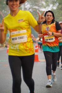 BIB: 5407, 10366
                            <button type="button" onclick="openModal(8415002)" class="btn btn-primary btn-sm float-right btn-popup" data-toggle="modal" data-target=".modal-high-quality">
                        <i class="fas fa-shopping-cart"></i> Add to Cart
                    </button>
                                            <button type="button" onclick="isThisMe(8415002, true)" class="btn btn-success btn-sm float-right btn-popup btn-isme hidden" data-toggle="tooltip" data-placement="bottom" title="นี่คือรูปของคุณใช่ไหม คลิกที่นี่เพื่อเอาเข้าอัลบั้ม">
                        <i class="fas fa-plus"></i> Add to album
                    </button>
                    <button type="button" onclick="isThisMe(8415002, false)" class="btn btn-warning btn-sm float-right btn-popup btn-isnotme hidden">
                        <i class="fas fa-ban"></i> Remove from album
                    </button>