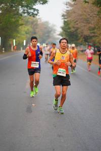 BIB: 
                            <button type="button" onclick="openModal(8227365)" class="btn btn-primary btn-sm float-right btn-popup" data-toggle="modal" data-target=".modal-high-quality">
                        <i class="fas fa-shopping-cart"></i> Add to Cart
                    </button>
                                            <button type="button" onclick="isThisMe(8227365, true)" class="btn btn-success btn-sm float-right btn-popup btn-isme hidden" data-toggle="tooltip" data-placement="bottom" title="นี่คือรูปของคุณใช่ไหม คลิกที่นี่เพื่อเอาเข้าอัลบั้ม">
                        <i class="fas fa-plus"></i> Add to album
                    </button>
                    <button type="button" onclick="isThisMe(8227365, false)" class="btn btn-warning btn-sm float-right btn-popup btn-isnotme hidden">
                        <i class="fas fa-ban"></i> Remove from album
                    </button>