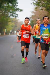 BIB: 26190, 42319
                            <button type="button" onclick="openModal(8263652)" class="btn btn-primary btn-sm float-right btn-popup" data-toggle="modal" data-target=".modal-high-quality">
                        <i class="fas fa-shopping-cart"></i> Add to Cart
                    </button>
                                            <button type="button" onclick="isThisMe(8263652, true)" class="btn btn-success btn-sm float-right btn-popup btn-isme hidden" data-toggle="tooltip" data-placement="bottom" title="นี่คือรูปของคุณใช่ไหม คลิกที่นี่เพื่อเอาเข้าอัลบั้ม">
                        <i class="fas fa-plus"></i> Add to album
                    </button>
                    <button type="button" onclick="isThisMe(8263652, false)" class="btn btn-warning btn-sm float-right btn-popup btn-isnotme hidden">
                        <i class="fas fa-ban"></i> Remove from album
                    </button>