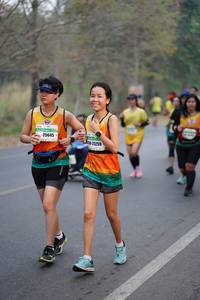 BIB: 25645
                            <button type="button" onclick="openModal(8180625)" class="btn btn-primary btn-sm float-right btn-popup" data-toggle="modal" data-target=".modal-high-quality">
                        <i class="fas fa-shopping-cart"></i> Add to Cart
                    </button>
                                            <button type="button" onclick="isThisMe(8180625, true)" class="btn btn-success btn-sm float-right btn-popup btn-isme hidden" data-toggle="tooltip" data-placement="bottom" title="นี่คือรูปของคุณใช่ไหม คลิกที่นี่เพื่อเอาเข้าอัลบั้ม">
                        <i class="fas fa-plus"></i> Add to album
                    </button>
                    <button type="button" onclick="isThisMe(8180625, false)" class="btn btn-warning btn-sm float-right btn-popup btn-isnotme hidden">
                        <i class="fas fa-ban"></i> Remove from album
                    </button>