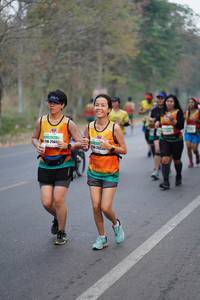 BIB: 2564, 252
                            <button type="button" onclick="openModal(8180596)" class="btn btn-primary btn-sm float-right btn-popup" data-toggle="modal" data-target=".modal-high-quality">
                        <i class="fas fa-shopping-cart"></i> Add to Cart
                    </button>
                                            <button type="button" onclick="isThisMe(8180596, true)" class="btn btn-success btn-sm float-right btn-popup btn-isme hidden" data-toggle="tooltip" data-placement="bottom" title="นี่คือรูปของคุณใช่ไหม คลิกที่นี่เพื่อเอาเข้าอัลบั้ม">
                        <i class="fas fa-plus"></i> Add to album
                    </button>
                    <button type="button" onclick="isThisMe(8180596, false)" class="btn btn-warning btn-sm float-right btn-popup btn-isnotme hidden">
                        <i class="fas fa-ban"></i> Remove from album
                    </button>