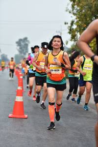 BIB: 10126
                            <button type="button" onclick="openModal(8875723)" class="btn btn-primary btn-sm float-right btn-popup" data-toggle="modal" data-target=".modal-high-quality">
                        <i class="fas fa-shopping-cart"></i> Add to Cart
                    </button>
                                            <button type="button" onclick="isThisMe(8875723, true)" class="btn btn-success btn-sm float-right btn-popup btn-isme hidden" data-toggle="tooltip" data-placement="bottom" title="นี่คือรูปของคุณใช่ไหม คลิกที่นี่เพื่อเอาเข้าอัลบั้ม">
                        <i class="fas fa-plus"></i> Add to album
                    </button>
                    <button type="button" onclick="isThisMe(8875723, false)" class="btn btn-warning btn-sm float-right btn-popup btn-isnotme hidden">
                        <i class="fas fa-ban"></i> Remove from album
                    </button>