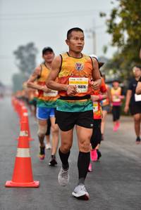 BIB: 16876
                            <button type="button" onclick="openModal(8861830)" class="btn btn-primary btn-sm float-right btn-popup" data-toggle="modal" data-target=".modal-high-quality">
                        <i class="fas fa-shopping-cart"></i> Add to Cart
                    </button>
                                            <button type="button" onclick="isThisMe(8861830, true)" class="btn btn-success btn-sm float-right btn-popup btn-isme hidden" data-toggle="tooltip" data-placement="bottom" title="นี่คือรูปของคุณใช่ไหม คลิกที่นี่เพื่อเอาเข้าอัลบั้ม">
                        <i class="fas fa-plus"></i> Add to album
                    </button>
                    <button type="button" onclick="isThisMe(8861830, false)" class="btn btn-warning btn-sm float-right btn-popup btn-isnotme hidden">
                        <i class="fas fa-ban"></i> Remove from album
                    </button>