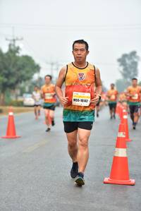 BIB: 16142
                            <button type="button" onclick="openModal(8905004)" class="btn btn-primary btn-sm float-right btn-popup" data-toggle="modal" data-target=".modal-high-quality">
                        <i class="fas fa-shopping-cart"></i> Add to Cart
                    </button>
                                            <button type="button" onclick="isThisMe(8905004, true)" class="btn btn-success btn-sm float-right btn-popup btn-isme hidden" data-toggle="tooltip" data-placement="bottom" title="นี่คือรูปของคุณใช่ไหม คลิกที่นี่เพื่อเอาเข้าอัลบั้ม">
                        <i class="fas fa-plus"></i> Add to album
                    </button>
                    <button type="button" onclick="isThisMe(8905004, false)" class="btn btn-warning btn-sm float-right btn-popup btn-isnotme hidden">
                        <i class="fas fa-ban"></i> Remove from album
                    </button>