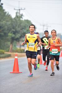 BIB: 26135, 2110
                            <button type="button" onclick="openModal(8917738)" class="btn btn-primary btn-sm float-right btn-popup" data-toggle="modal" data-target=".modal-high-quality">
                        <i class="fas fa-shopping-cart"></i> Add to Cart
                    </button>
                                            <button type="button" onclick="isThisMe(8917738, true)" class="btn btn-success btn-sm float-right btn-popup btn-isme hidden" data-toggle="tooltip" data-placement="bottom" title="นี่คือรูปของคุณใช่ไหม คลิกที่นี่เพื่อเอาเข้าอัลบั้ม">
                        <i class="fas fa-plus"></i> Add to album
                    </button>
                    <button type="button" onclick="isThisMe(8917738, false)" class="btn btn-warning btn-sm float-right btn-popup btn-isnotme hidden">
                        <i class="fas fa-ban"></i> Remove from album
                    </button>