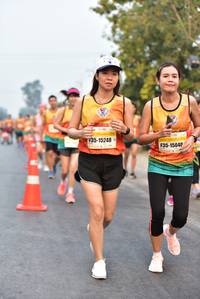 BIB: 15248, 15040
                            <button type="button" onclick="openModal(8946608)" class="btn btn-primary btn-sm float-right btn-popup" data-toggle="modal" data-target=".modal-high-quality">
                        <i class="fas fa-shopping-cart"></i> Add to Cart
                    </button>
                                            <button type="button" onclick="isThisMe(8946608, true)" class="btn btn-success btn-sm float-right btn-popup btn-isme hidden" data-toggle="tooltip" data-placement="bottom" title="นี่คือรูปของคุณใช่ไหม คลิกที่นี่เพื่อเอาเข้าอัลบั้ม">
                        <i class="fas fa-plus"></i> Add to album
                    </button>
                    <button type="button" onclick="isThisMe(8946608, false)" class="btn btn-warning btn-sm float-right btn-popup btn-isnotme hidden">
                        <i class="fas fa-ban"></i> Remove from album
                    </button>