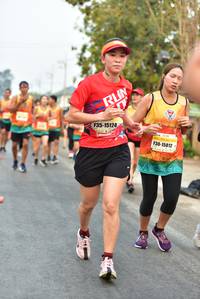 BIB: 15124, 15812
                            <button type="button" onclick="openModal(8913493)" class="btn btn-primary btn-sm float-right btn-popup" data-toggle="modal" data-target=".modal-high-quality">
                        <i class="fas fa-shopping-cart"></i> Add to Cart
                    </button>
                                            <button type="button" onclick="isThisMe(8913493, true)" class="btn btn-success btn-sm float-right btn-popup btn-isme hidden" data-toggle="tooltip" data-placement="bottom" title="นี่คือรูปของคุณใช่ไหม คลิกที่นี่เพื่อเอาเข้าอัลบั้ม">
                        <i class="fas fa-plus"></i> Add to album
                    </button>
                    <button type="button" onclick="isThisMe(8913493, false)" class="btn btn-warning btn-sm float-right btn-popup btn-isnotme hidden">
                        <i class="fas fa-ban"></i> Remove from album
                    </button>