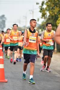 BIB: 16638
                            <button type="button" onclick="openModal(8949626)" class="btn btn-primary btn-sm float-right btn-popup" data-toggle="modal" data-target=".modal-high-quality">
                        <i class="fas fa-shopping-cart"></i> Add to Cart
                    </button>
                                            <button type="button" onclick="isThisMe(8949626, true)" class="btn btn-success btn-sm float-right btn-popup btn-isme hidden" data-toggle="tooltip" data-placement="bottom" title="นี่คือรูปของคุณใช่ไหม คลิกที่นี่เพื่อเอาเข้าอัลบั้ม">
                        <i class="fas fa-plus"></i> Add to album
                    </button>
                    <button type="button" onclick="isThisMe(8949626, false)" class="btn btn-warning btn-sm float-right btn-popup btn-isnotme hidden">
                        <i class="fas fa-ban"></i> Remove from album
                    </button>