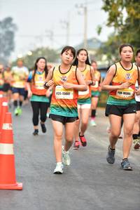 BIB: 10305, 15607
                            <button type="button" onclick="openModal(8935151)" class="btn btn-primary btn-sm float-right btn-popup" data-toggle="modal" data-target=".modal-high-quality">
                        <i class="fas fa-shopping-cart"></i> Add to Cart
                    </button>
                                            <button type="button" onclick="isThisMe(8935151, true)" class="btn btn-success btn-sm float-right btn-popup btn-isme hidden" data-toggle="tooltip" data-placement="bottom" title="นี่คือรูปของคุณใช่ไหม คลิกที่นี่เพื่อเอาเข้าอัลบั้ม">
                        <i class="fas fa-plus"></i> Add to album
                    </button>
                    <button type="button" onclick="isThisMe(8935151, false)" class="btn btn-warning btn-sm float-right btn-popup btn-isnotme hidden">
                        <i class="fas fa-ban"></i> Remove from album
                    </button>