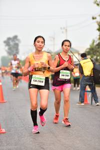 BIB: 21601, 27618
                            <button type="button" onclick="openModal(9025602)" class="btn btn-primary btn-sm float-right btn-popup" data-toggle="modal" data-target=".modal-high-quality">
                        <i class="fas fa-shopping-cart"></i> Add to Cart
                    </button>
                                            <button type="button" onclick="isThisMe(9025602, true)" class="btn btn-success btn-sm float-right btn-popup btn-isme hidden" data-toggle="tooltip" data-placement="bottom" title="นี่คือรูปของคุณใช่ไหม คลิกที่นี่เพื่อเอาเข้าอัลบั้ม">
                        <i class="fas fa-plus"></i> Add to album
                    </button>
                    <button type="button" onclick="isThisMe(9025602, false)" class="btn btn-warning btn-sm float-right btn-popup btn-isnotme hidden">
                        <i class="fas fa-ban"></i> Remove from album
                    </button>
