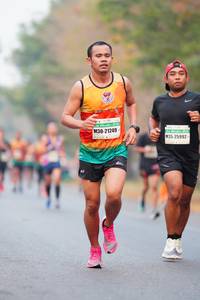 BIB: 21249, 25992
                            <button type="button" onclick="openModal(8749057)" class="btn btn-primary btn-sm float-right btn-popup" data-toggle="modal" data-target=".modal-high-quality">
                        <i class="fas fa-shopping-cart"></i> Add to Cart
                    </button>
                                            <button type="button" onclick="isThisMe(8749057, true)" class="btn btn-success btn-sm float-right btn-popup btn-isme hidden" data-toggle="tooltip" data-placement="bottom" title="นี่คือรูปของคุณใช่ไหม คลิกที่นี่เพื่อเอาเข้าอัลบั้ม">
                        <i class="fas fa-plus"></i> Add to album
                    </button>
                    <button type="button" onclick="isThisMe(8749057, false)" class="btn btn-warning btn-sm float-right btn-popup btn-isnotme hidden">
                        <i class="fas fa-ban"></i> Remove from album
                    </button>