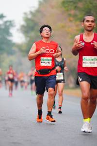 BIB: 22162, 25553
                            <button type="button" onclick="openModal(8726804)" class="btn btn-primary btn-sm float-right btn-popup" data-toggle="modal" data-target=".modal-high-quality">
                        <i class="fas fa-shopping-cart"></i> Add to Cart
                    </button>
                                            <button type="button" onclick="isThisMe(8726804, true)" class="btn btn-success btn-sm float-right btn-popup btn-isme hidden" data-toggle="tooltip" data-placement="bottom" title="นี่คือรูปของคุณใช่ไหม คลิกที่นี่เพื่อเอาเข้าอัลบั้ม">
                        <i class="fas fa-plus"></i> Add to album
                    </button>
                    <button type="button" onclick="isThisMe(8726804, false)" class="btn btn-warning btn-sm float-right btn-popup btn-isnotme hidden">
                        <i class="fas fa-ban"></i> Remove from album
                    </button>
