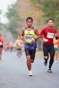 BIB: 212, 47554
                            <button type="button" onclick="openModal(8766879)" class="btn btn-primary btn-sm float-right btn-popup" data-toggle="modal" data-target=".modal-high-quality">
                        <i class="fas fa-shopping-cart"></i> Add to Cart
                    </button>
                                            <button type="button" onclick="isThisMe(8766879, true)" class="btn btn-success btn-sm float-right btn-popup btn-isme hidden" data-toggle="tooltip" data-placement="bottom" title="นี่คือรูปของคุณใช่ไหม คลิกที่นี่เพื่อเอาเข้าอัลบั้ม">
                        <i class="fas fa-plus"></i> Add to album
                    </button>
                    <button type="button" onclick="isThisMe(8766879, false)" class="btn btn-warning btn-sm float-right btn-popup btn-isnotme hidden">
                        <i class="fas fa-ban"></i> Remove from album
                    </button>
