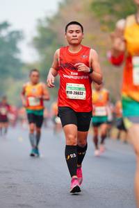 BIB: 26632
                            <button type="button" onclick="openModal(8816576)" class="btn btn-primary btn-sm float-right btn-popup" data-toggle="modal" data-target=".modal-high-quality">
                        <i class="fas fa-shopping-cart"></i> Add to Cart
                    </button>
                                            <button type="button" onclick="isThisMe(8816576, true)" class="btn btn-success btn-sm float-right btn-popup btn-isme hidden" data-toggle="tooltip" data-placement="bottom" title="นี่คือรูปของคุณใช่ไหม คลิกที่นี่เพื่อเอาเข้าอัลบั้ม">
                        <i class="fas fa-plus"></i> Add to album
                    </button>
                    <button type="button" onclick="isThisMe(8816576, false)" class="btn btn-warning btn-sm float-right btn-popup btn-isnotme hidden">
                        <i class="fas fa-ban"></i> Remove from album
                    </button>