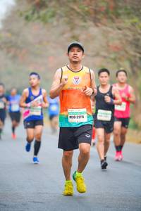 BIB: 21715
                            <button type="button" onclick="openModal(10277045)" class="btn btn-primary btn-sm float-right btn-popup" data-toggle="modal" data-target=".modal-high-quality">
                        <i class="fas fa-shopping-cart"></i> Add to Cart
                    </button>
                                            <button type="button" onclick="isThisMe(10277045, true)" class="btn btn-success btn-sm float-right btn-popup btn-isme hidden" data-toggle="tooltip" data-placement="bottom" title="นี่คือรูปของคุณใช่ไหม คลิกที่นี่เพื่อเอาเข้าอัลบั้ม">
                        <i class="fas fa-plus"></i> Add to album
                    </button>
                    <button type="button" onclick="isThisMe(10277045, false)" class="btn btn-warning btn-sm float-right btn-popup btn-isnotme hidden">
                        <i class="fas fa-ban"></i> Remove from album
                    </button>