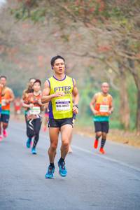 BIB: 40513
                            <button type="button" onclick="openModal(10284257)" class="btn btn-primary btn-sm float-right btn-popup" data-toggle="modal" data-target=".modal-high-quality">
                        <i class="fas fa-shopping-cart"></i> Add to Cart
                    </button>
                                            <button type="button" onclick="isThisMe(10284257, true)" class="btn btn-success btn-sm float-right btn-popup btn-isme hidden" data-toggle="tooltip" data-placement="bottom" title="นี่คือรูปของคุณใช่ไหม คลิกที่นี่เพื่อเอาเข้าอัลบั้ม">
                        <i class="fas fa-plus"></i> Add to album
                    </button>
                    <button type="button" onclick="isThisMe(10284257, false)" class="btn btn-warning btn-sm float-right btn-popup btn-isnotme hidden">
                        <i class="fas fa-ban"></i> Remove from album
                    </button>