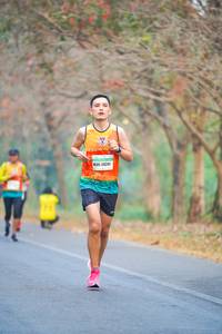 BIB: 26241
                            <button type="button" onclick="openModal(10284021)" class="btn btn-primary btn-sm float-right btn-popup" data-toggle="modal" data-target=".modal-high-quality">
                        <i class="fas fa-shopping-cart"></i> Add to Cart
                    </button>
                                            <button type="button" onclick="isThisMe(10284021, true)" class="btn btn-success btn-sm float-right btn-popup btn-isme hidden" data-toggle="tooltip" data-placement="bottom" title="นี่คือรูปของคุณใช่ไหม คลิกที่นี่เพื่อเอาเข้าอัลบั้ม">
                        <i class="fas fa-plus"></i> Add to album
                    </button>
                    <button type="button" onclick="isThisMe(10284021, false)" class="btn btn-warning btn-sm float-right btn-popup btn-isnotme hidden">
                        <i class="fas fa-ban"></i> Remove from album
                    </button>