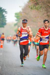 BIB: 42236, 41379
                            <button type="button" onclick="openModal(10287463)" class="btn btn-primary btn-sm float-right btn-popup" data-toggle="modal" data-target=".modal-high-quality">
                        <i class="fas fa-shopping-cart"></i> Add to Cart
                    </button>
                                            <button type="button" onclick="isThisMe(10287463, true)" class="btn btn-success btn-sm float-right btn-popup btn-isme hidden" data-toggle="tooltip" data-placement="bottom" title="นี่คือรูปของคุณใช่ไหม คลิกที่นี่เพื่อเอาเข้าอัลบั้ม">
                        <i class="fas fa-plus"></i> Add to album
                    </button>
                    <button type="button" onclick="isThisMe(10287463, false)" class="btn btn-warning btn-sm float-right btn-popup btn-isnotme hidden">
                        <i class="fas fa-ban"></i> Remove from album
                    </button>