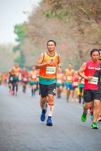 BIB: 22299, 26656
                            <button type="button" onclick="openModal(10287705)" class="btn btn-primary btn-sm float-right btn-popup" data-toggle="modal" data-target=".modal-high-quality">
                        <i class="fas fa-shopping-cart"></i> Add to Cart
                    </button>
                                            <button type="button" onclick="isThisMe(10287705, true)" class="btn btn-success btn-sm float-right btn-popup btn-isme hidden" data-toggle="tooltip" data-placement="bottom" title="นี่คือรูปของคุณใช่ไหม คลิกที่นี่เพื่อเอาเข้าอัลบั้ม">
                        <i class="fas fa-plus"></i> Add to album
                    </button>
                    <button type="button" onclick="isThisMe(10287705, false)" class="btn btn-warning btn-sm float-right btn-popup btn-isnotme hidden">
                        <i class="fas fa-ban"></i> Remove from album
                    </button>