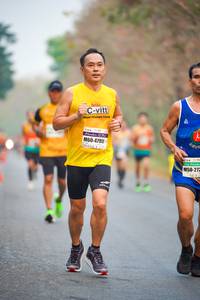 BIB: 47951, 272
                            <button type="button" onclick="openModal(10286614)" class="btn btn-primary btn-sm float-right btn-popup" data-toggle="modal" data-target=".modal-high-quality">
                        <i class="fas fa-shopping-cart"></i> Add to Cart
                    </button>
                                            <button type="button" onclick="isThisMe(10286614, true)" class="btn btn-success btn-sm float-right btn-popup btn-isme hidden" data-toggle="tooltip" data-placement="bottom" title="นี่คือรูปของคุณใช่ไหม คลิกที่นี่เพื่อเอาเข้าอัลบั้ม">
                        <i class="fas fa-plus"></i> Add to album
                    </button>
                    <button type="button" onclick="isThisMe(10286614, false)" class="btn btn-warning btn-sm float-right btn-popup btn-isnotme hidden">
                        <i class="fas fa-ban"></i> Remove from album
                    </button>